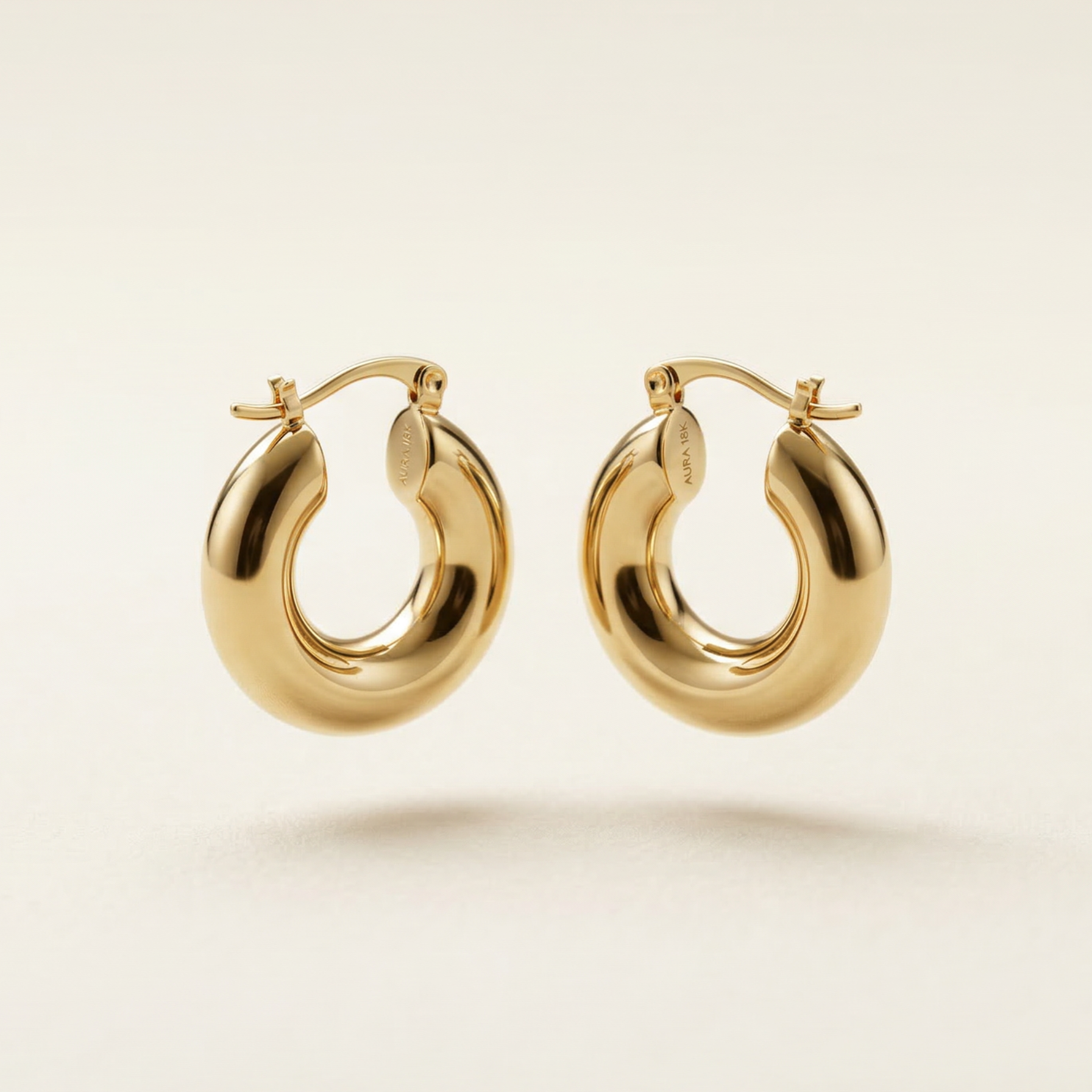 Hoop Earrings